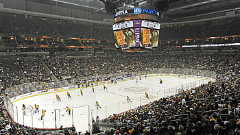 PPG Paints Arena, Hockey HD wallpaper