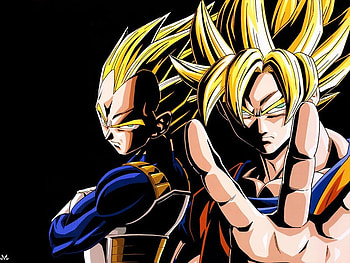 Goku and vegeta, dbz, dark HD wallpaper