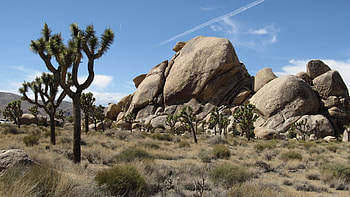 Joshua Tree National Park, for , High definition, Stunning scenery HD wallpaper