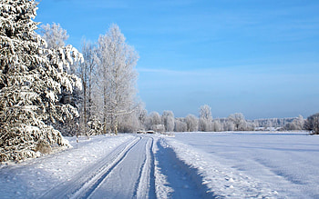 Winter Road in Latvia, hoarfrost, snow, winter, field, Latvia, trees, road HD wallpaper