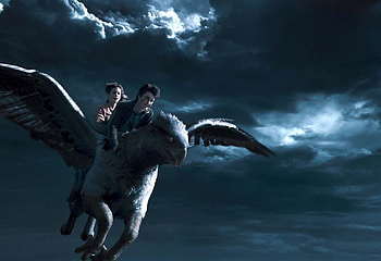 Hippogriff patronus , Harry Potter HD wallpaper