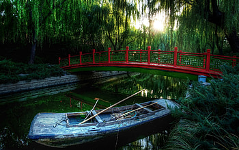 Changpuhe Park, Willow Tree HD wallpaper