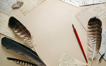 Feather, Miscellanea, Miscellaneous, Vintage, Paper, Letters HD wallpaper