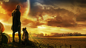 Star Trek Picard 2019, star-trek-picard, tv-shows, star-trek HD wallpaper