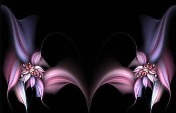 Floral Corners, corners, flowers, black HD wallpaper