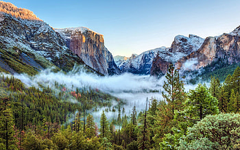 Nature, Trees, Mountains, Usa, Fog, United States, California, Yosemite National Park HD wallpaper