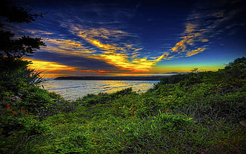 You Done It Again, island, sea, colorful, grass, ray, tree, clouds, nature, sky HD wallpaper