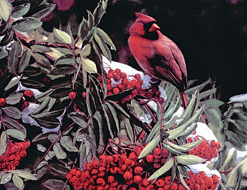 crimson, branch, snow, songbird, redberries, leafs, tree HD wallpaper