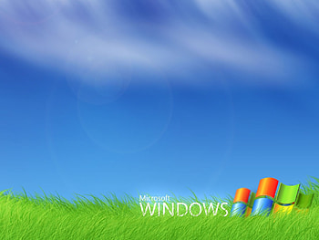 Brands, Windows, Background, Logos HD wallpaper