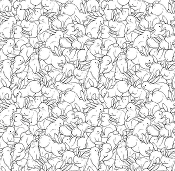 Pattern, rabbit, bunny, white, black, texture, eater HD wallpaper
