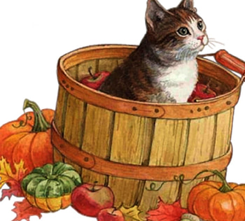 kitty in a wooden can, pumpkins, painting, kitty, animals, cats, wooden can HD wallpaper
