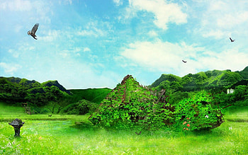 Nature, Birds, Leaves, Flight, Wreckage, Detritus HD wallpaper