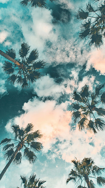 Summer vibes, summer , Sunny days, Beach bliss HD phone wallpaper