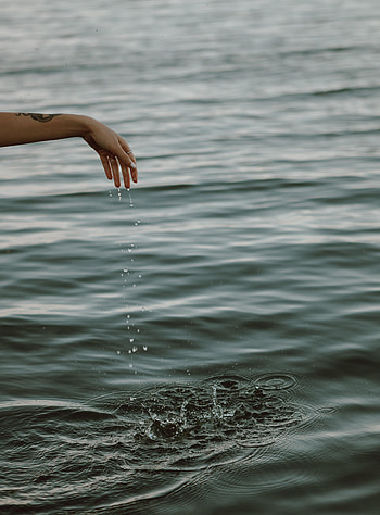 Water, Drops, Hand, Miscellanea, Miscellaneous, Splash, Tattoo, Spike HD phone wallpaper