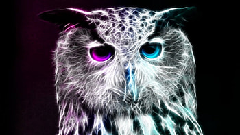 On A Night Like This Version.jpg, owls, fractal, fantasy, animals HD wallpaper