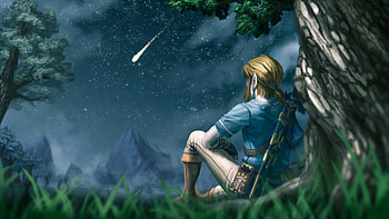 Legend of Zelda link, Iconic , Gaming legend, Epic adventure HD wallpaper