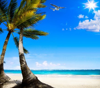 Tropical Paradise, palms, sea, tropical, sky, vacation, beach HD wallpaper