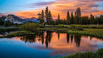 Forest mountains, Landscape, Lake, Forest, Trees HD wallpaper