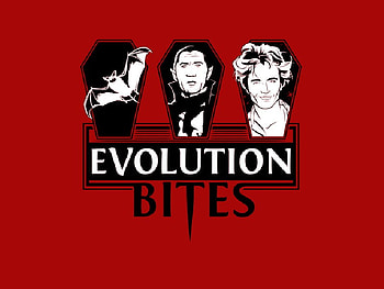 Evolution Bites, twilight, dracula, vampires, funny, bats HD wallpaper
