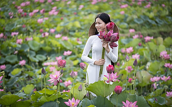Girl with Lotuses, flowers, girl, asian, lotuses, national costume HD wallpaper