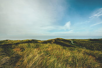 Beautiful grass-covered dunes under a cloudy sky on Sylt Island, Germany, perfect for travel and nature enthusiasts. HD wallpaper