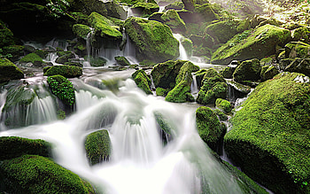 Rocks, moss, water stream, nature HD wallpaper
