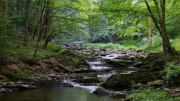 Rivers, Streams, , Water HD wallpaper