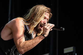 Taylor Hawkins, Heart, Weighed Double, Average Man HD wallpaper