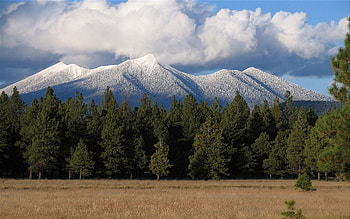 Landscape, Trees, Mountains HD wallpaper