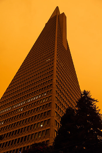 Cities, Sky, Architecture, Building, Facade, Bottom View HD phone wallpaper