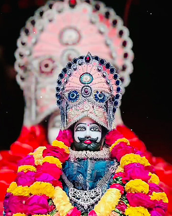 Jay Ramapir, lei, magenta HD phone wallpaper