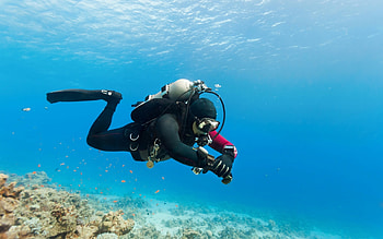 Sports sea nature coral reef, Extreme water sport, Underwater diving, Marine biology HD wallpaper