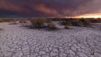 Texture, shrubs, desert, soil HD wallpaper