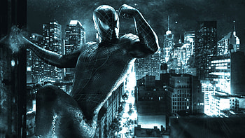 Black Spiderman . HD wallpaper