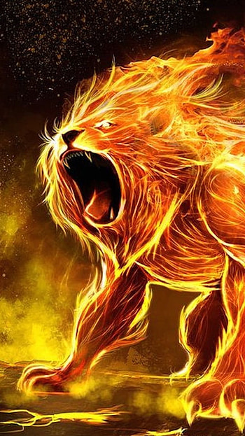 Fire Lion, Danger, Lion HD phone wallpaper