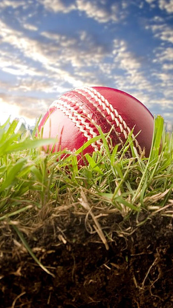 High-quality cricket , Cricket backgrounds HD phone wallpaper