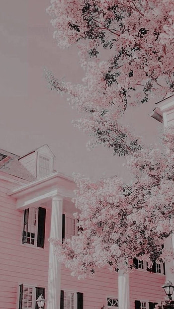 Pink Aesthetic, Building HD phone wallpaper