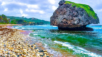 Bathsheba Barbados, Caribbean islands, Beautiful coast, Scenic beauty HD wallpaper