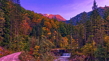 Autumn in Austrian Mountains, forest, river, fall, trees, colors, road, cascade HD wallpaper