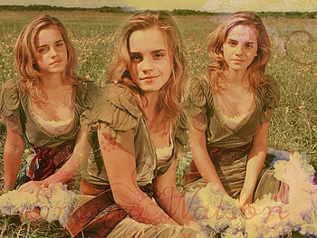 Emma Watson, model, watson, emma, beautiful, actress HD wallpaper