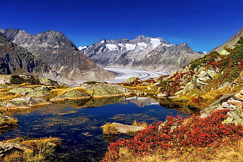 Autumn Colors ~ Aletsch Glacier, Switzerland, autumn, nature, switzerland, mountains HD wallpaper