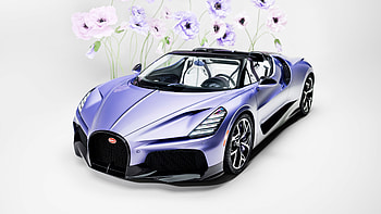 Bugatti W16 Mistral — Luxury Hypercar, Luxury Car HD wallpaper