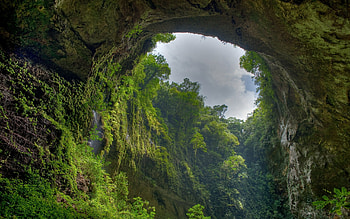 El Yunque, Rainforests HD wallpaper