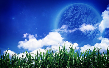 My Dreams , 3d, flower HD wallpaper