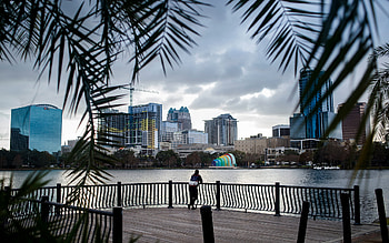 Orlando travels, 36 hours, The New York Times, Orlando attractions HD wallpaper