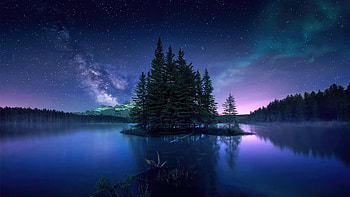 Straight Out Of A Fairytale, stars, reflection, sky, nature, tree HD wallpaper