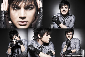 adam love, lol HD wallpaper