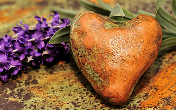Flowers, Love, Rock, Stains, Spots, Stone, Heart HD wallpaper