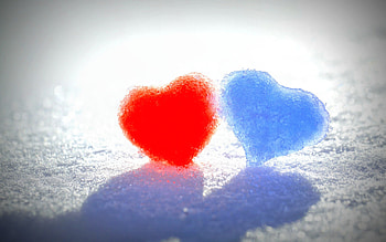Snow Hearts, valentine-day, celebrations, heart, love, snow HD wallpaper