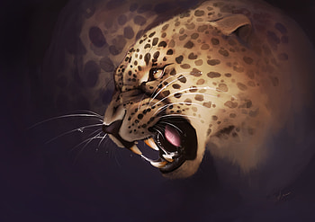 Art, Leopard, Aggression, Grin, Predator HD wallpaper